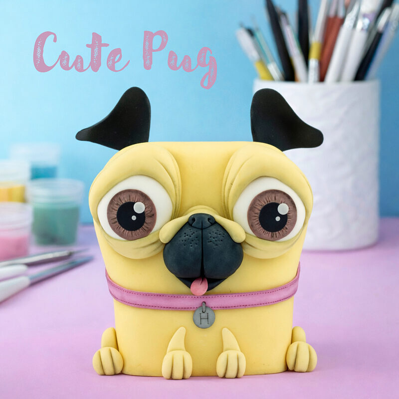 Henry The Pug - Main Image